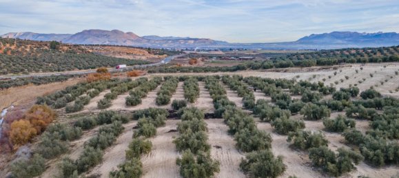 Земельный участок 54273м² в Вегас-дель-Хениль, Испания № 175196 13