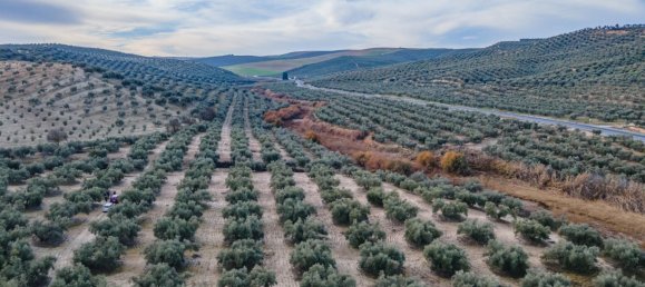 Земельный участок 54273м² в Вегас-дель-Хениль, Испания № 175196 11