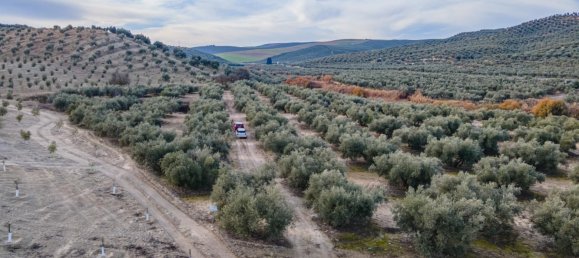 Земельный участок 54273м² в Вегас-дель-Хениль, Испания № 175196 9