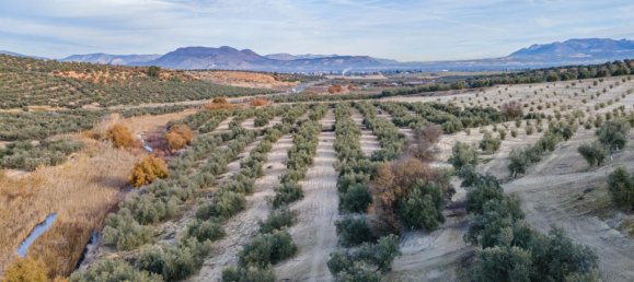 Земельный участок 54273м² в Вегас-дель-Хениль, Испания № 175196 15