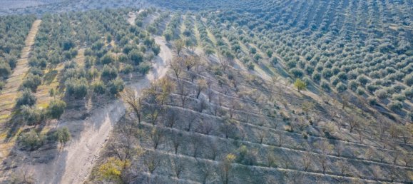 Земельный участок 54273м² в Вегас-дель-Хениль, Испания № 175196 28