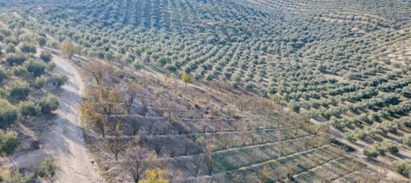 Земельный участок 54273м² в Вегас-дель-Хениль, Испания № 175196 27