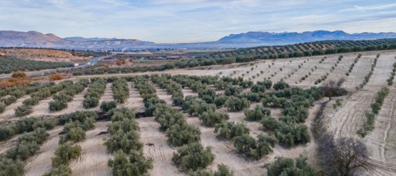 Земельный участок 54273м² в Вегас-дель-Хениль, Испания № 175196 12