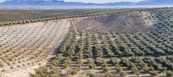 Земельный участок 54273м² в Вегас-дель-Хениль, Испания № 175196 24