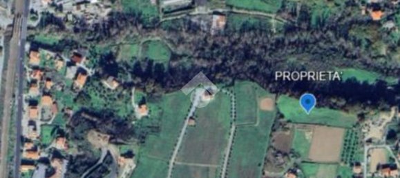 Grundstück in Belvedere Marittimo, Italy 10155m², Nr. 356083 9