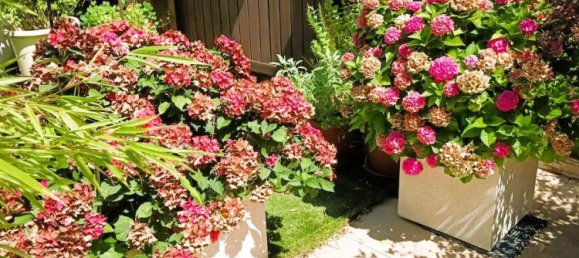 2 bedrooms Villa in Wiener Neustadt, Austria No. 202399 15