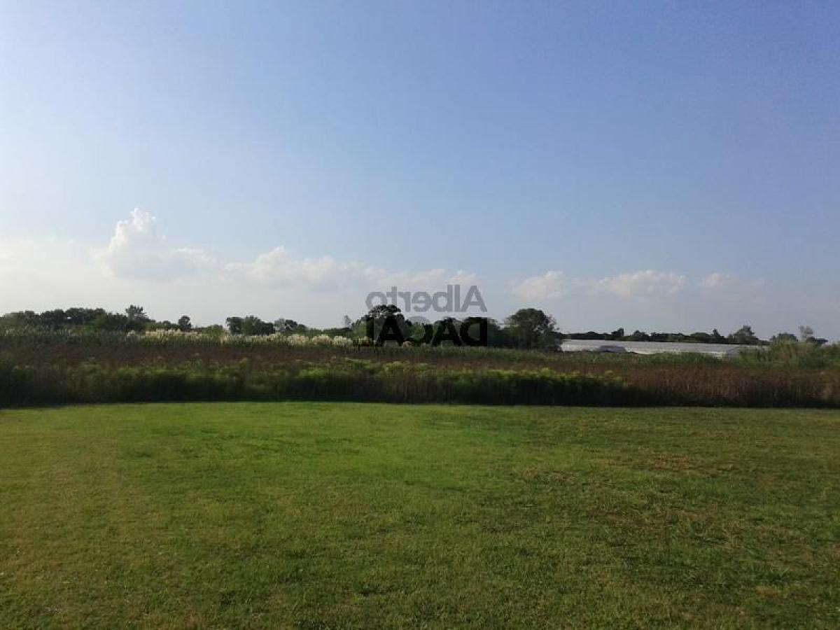 Grundstück in Campo Creado, Argentina, Nr. 38768