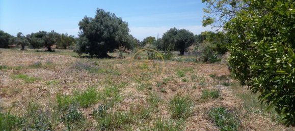 2 bedrooms Villa in Loule, Portugal No. 322066 35