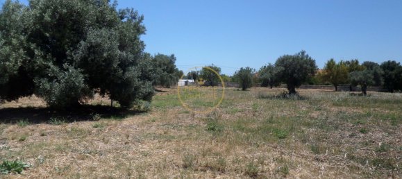 2 bedrooms Villa in Loule, Portugal No. 322066 37