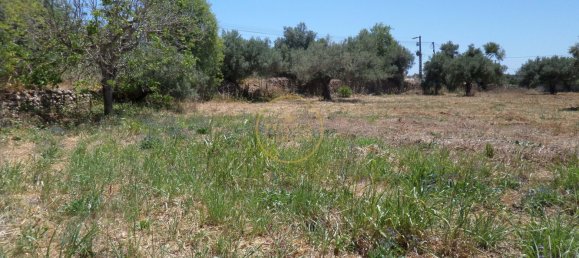 2 bedrooms Villa in Loule, Portugal No. 322066 33