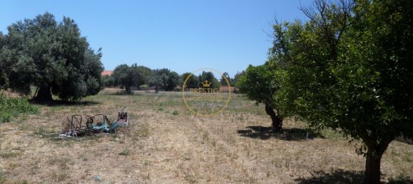 2 bedrooms Villa in Loule, Portugal No. 322066 18