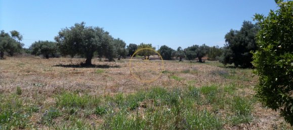 2 bedrooms Villa in Loule, Portugal No. 322066 34