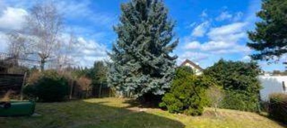 Дом с 7 комнатами в Хитцинг, Австрия № 91099 5