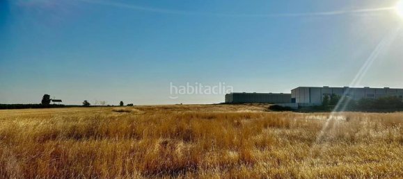 Grundstück in La Carlota, Spain 20m², Nr. 163674 6