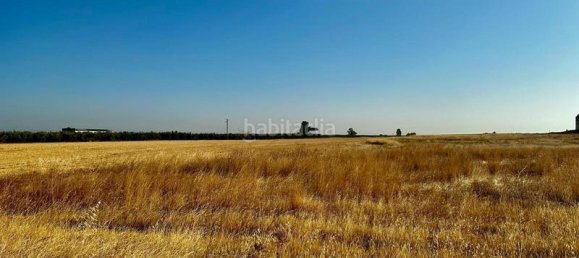 Grundstück in La Carlota, Spain 20m², Nr. 163674 2