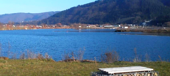 3 bedrooms House in Trier-Saarburg, Germany No. 125512 36