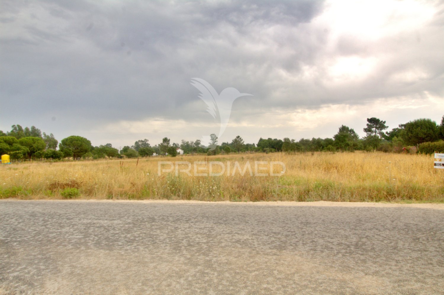  قطعة أرض في Salvaterra de Magos, Portugal 5200متر مربع رقم 199412