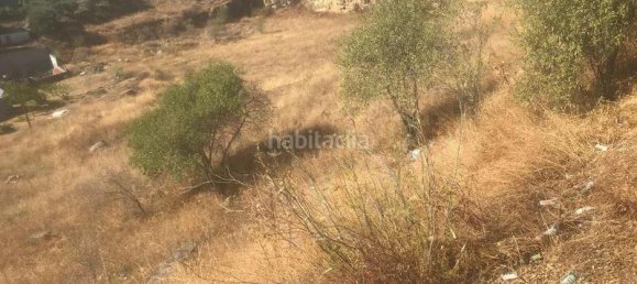 13891m² Land in El Molar, Spain No. 81899 4