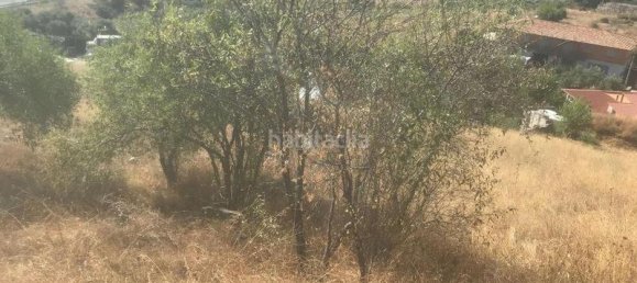 13891m² Land in El Molar, Spain No. 81899 6