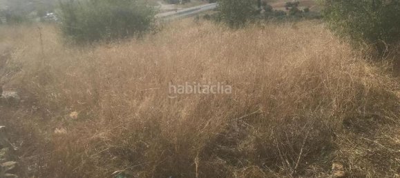 13891m² Land in El Molar, Spain No. 81899 5