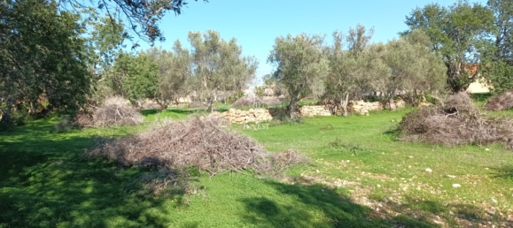 Terreno en Loule, Portugal 1200 m² No. 92376 8