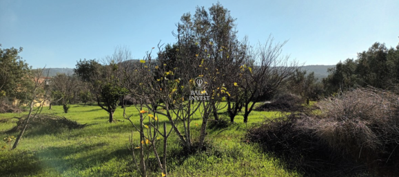 Terreno en Loule, Portugal 1200 m² No. 92376 5