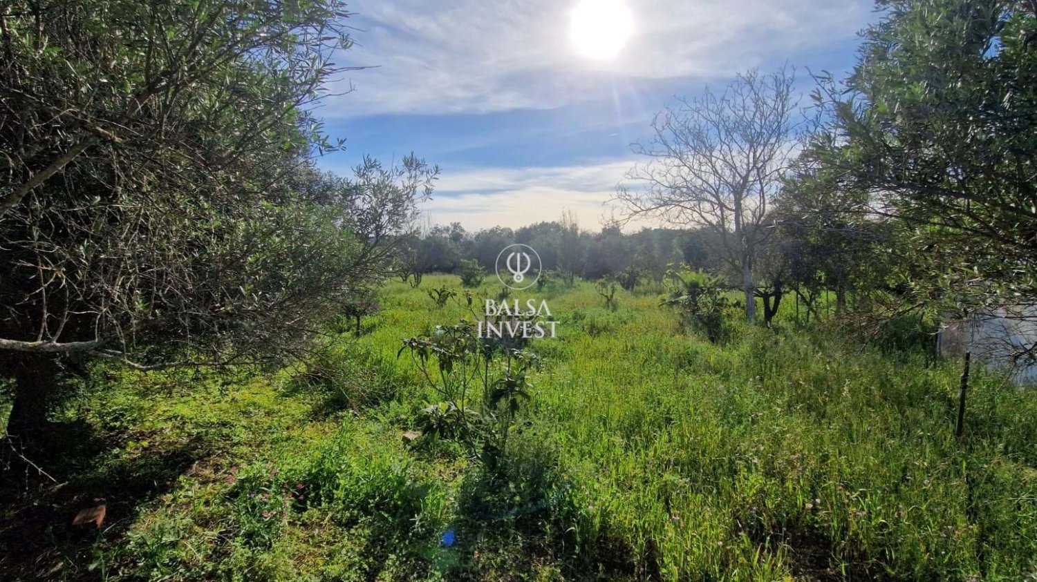 Terreno en Loule, Portugal 1200 m² No. 92376