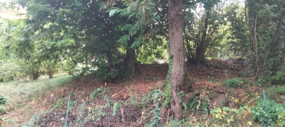 5 rooms House in Olevano sul Tusciano, Italy No. 291553 16