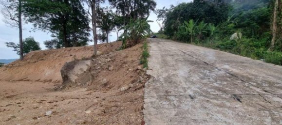 1068m² Commercial property in Chalong, Thailand No. 12607 13