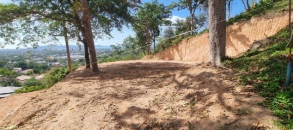 1068m² Commercial property in Chalong, Thailand No. 12607 6