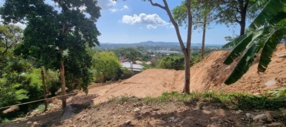 1068m² Commercial property in Chalong, Thailand No. 12607 7