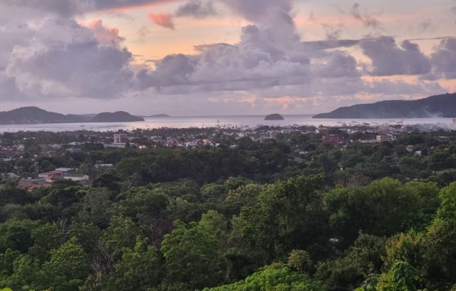 1068m² Commercial property in Chalong, Thailand No. 12607