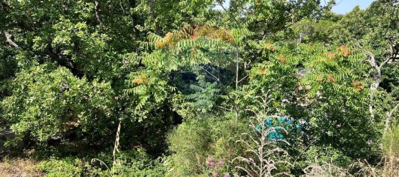 1200m² Land in Ragalna, Italy No. 319028 6