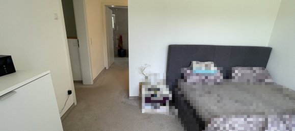 Коммерческая недвижимость с 3 спальнями в Нюрнбергер-Ланд, Германия № 247470 25