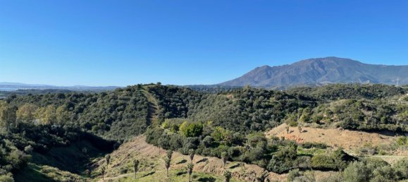 6310m² Land in Estepona, Spain No. 25710 6