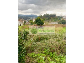 Terreno em Pessegueiro do Vouga, Portugal N.º 211160