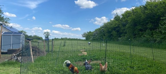 7-salle Maison à Saarpfalz, Germany No. 360879 7