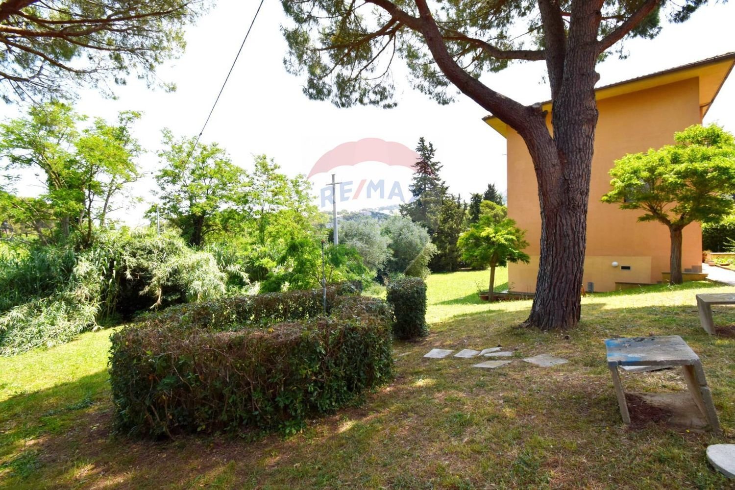 5 rooms Apartment in Livorno, Italy No. 288590