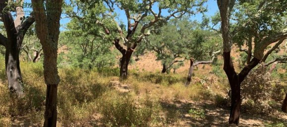 Castelos T2 em Santiago do Cacém, Portugal N.º 95240 13