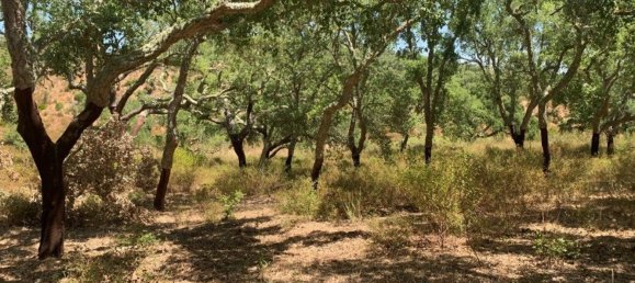 Castelos T2 em Santiago do Cacém, Portugal N.º 95240 14