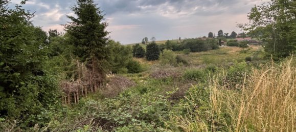  قطعة أرض في Saint-Die-des-Vosges, France رقم 91081 2