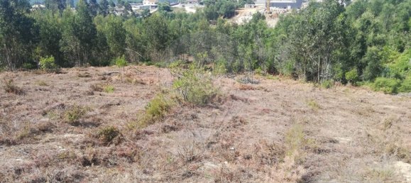 Grundstück in Penafiel, Portugal 7200m², Nr. 56224 10