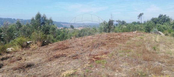 Grundstück in Penafiel, Portugal 7200m², Nr. 56224 8