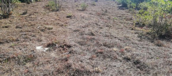 Grundstück in Penafiel, Portugal 7200m², Nr. 56224 12