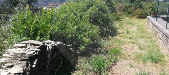 Grundstück in Penafiel, Portugal 7200m², Nr. 56224 3