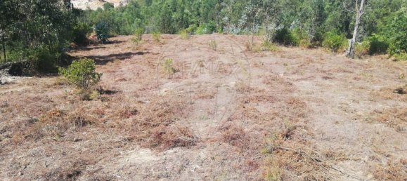 Grundstück in Penafiel, Portugal 7200m², Nr. 56224 11