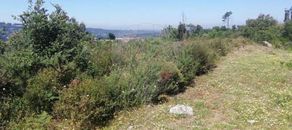 Grundstück in Penafiel, Portugal 7200m², Nr. 56224 2