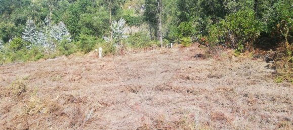 Grundstück in Penafiel, Portugal 7200m², Nr. 56224 13