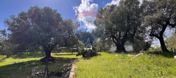 1غرفة مستودع في Ostuni, Italy رقم 57015 6