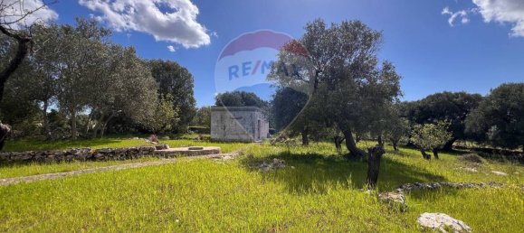 1غرفة مستودع في Ostuni, Italy رقم 57015 8